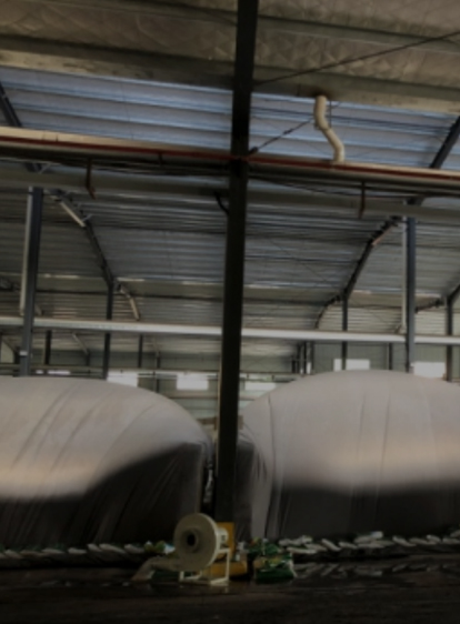 1xBET·Signup(中国区)-官方网站